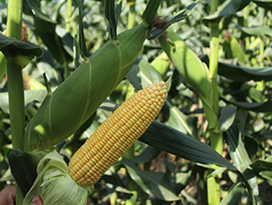 �C��192-���׷N��-���C�N�I(y��)