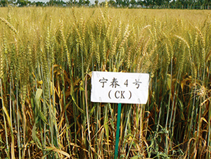 ����4̖(h��o)-С���N��-���S�N�I(y��)