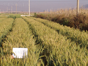 ����50̖(h��o)-С���N��-���S�N�I(y��)