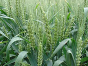 ��(j��)��19̖(h��o)-С���N��-�y�d�N�I(y��)