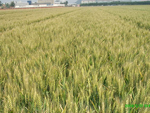 ��(j��)��20-С���N��-�y�d�N�I(y��)