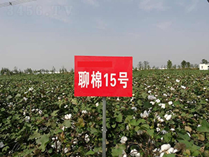 ����15̖-�޻��N��-�y�d�N�I(y��)