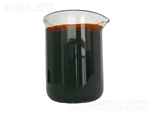 �����S�����-�G΢����