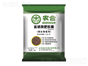 ����΢���z��-�r(n��ng)��-�����r(n��ng)�I(y��)