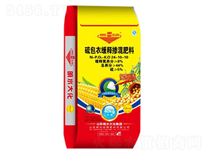 ����¾�ጓ������24-10-10-��_