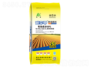 �������28-10-10-8-���\��-��_