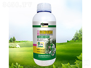 �޻�����������҄�-������