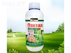 â�����L(zh��ng)�S�M(m��n)��-������