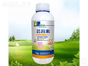 �|̦��-������