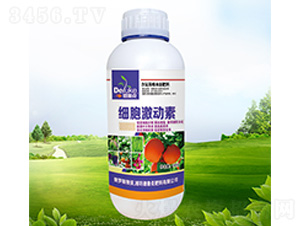 ��(x��)��������-������ 