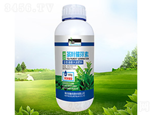 ���~��ѿ��-������