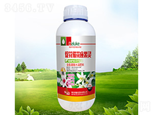 �ٻ��߻������`-������