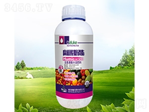 ��ֲ������֬-������