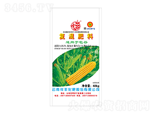 ���Ȍ��Ï�(f��)�����8-12-5-���S