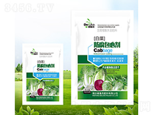 �ײ˷������Ą�-������