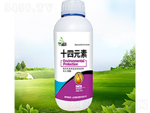 ʮ��Ԫ��-������