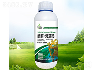 ø�⡤�����}-������