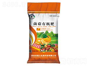 �����ЙC(j��)��-��������