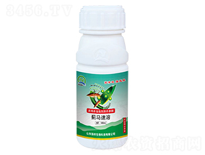 �E�R����-���r����