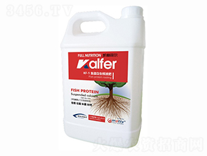 KF-1�~��������Һ��-�P�ַƠ�