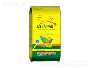 ���}�V+��-�а���-��������