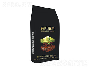 �ЙC����-��������