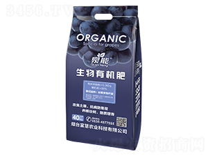 �����ЙC(j��)��-Ȫ��-�����r(n��ng)�I(y��)