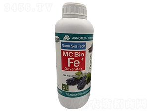 �W���F-���Ÿ��_-����̩��