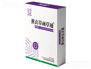 ޹�²��B��ͨ-���A����