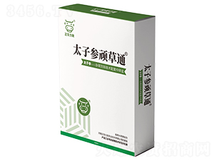 ̫�Ӆ��B��ͨ-���A����