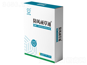 ���L(f��ng)�B��ͨ-���A����