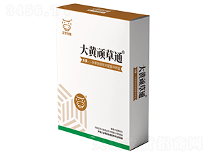 ���S�B��ͨ-���A����