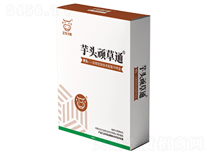 ���^�B��ͨ-���A����