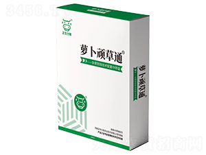 �}���B��ͨ-���A����