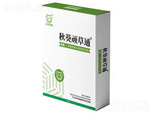 ����B��ͨ-���A����