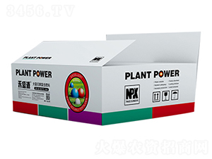 ����Ԫ�؏�(f��)�Ϸ���20-20-20+TE-��ʢԴ-������