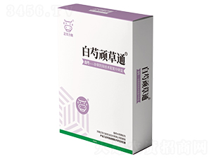 �����B��ͨ-���A����