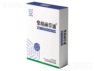 ����B��ͨ-���A����