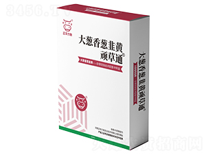 ���[�����[�����S�B��ͨ-���A����