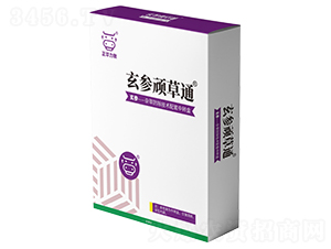 �����B��ͨ-���A����