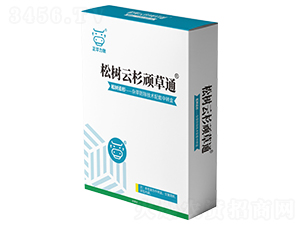 �ɘ���ɼ�B��ͨ-���A����