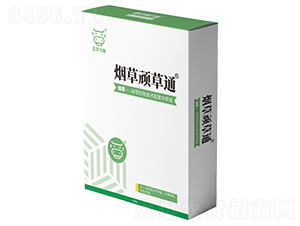 �����B��ͨ-���A����