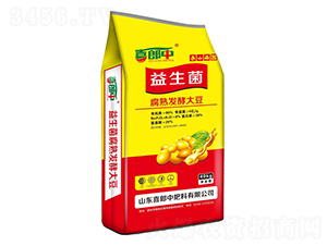 ����������l(f��)�ʹ�-ϲ����