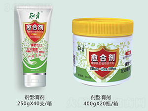 ֲ�����τ�-֪��-������