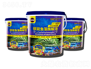 ̼���~��ø��Һ-������