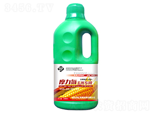 Ħ�������׌��ú���ֲ��ˮ�ܷ���-������