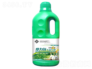 Ħ�������⌣�ú���ֲ��ˮ�ܷ���-������