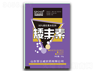 ���S��-��ʿ��