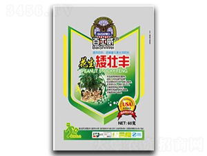 ���������S-��ʿ��