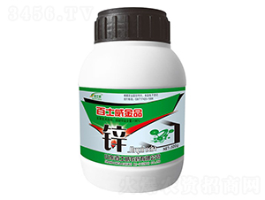 ��ʿ����Ʒ�\-��ʿ��